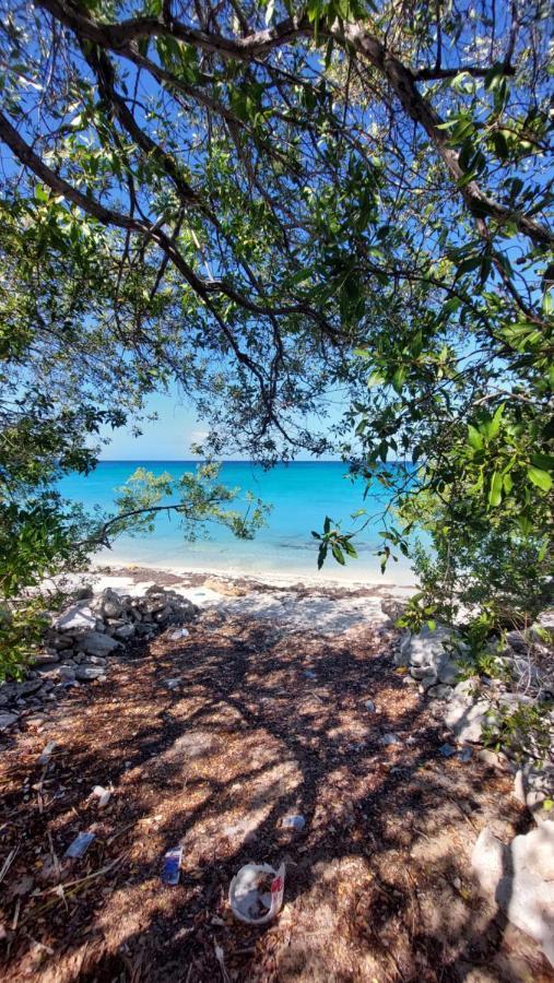 El Aplatanao Hotel Pedernales Εξωτερικό φωτογραφία